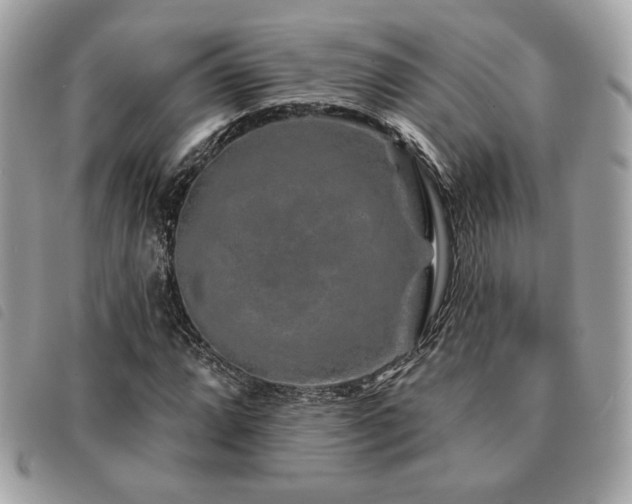 X0000091531064200708171215