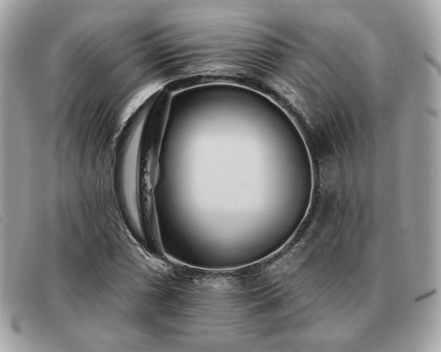 X0000091531066200708171215