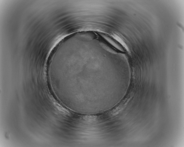 X0000091531068200708171215