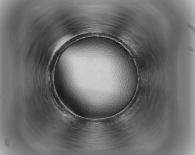 X0000091531070200708171215