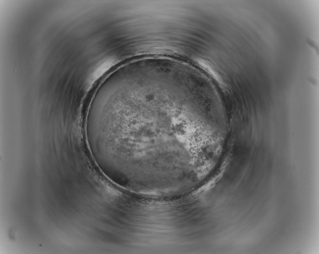 X0000091531071200708171215