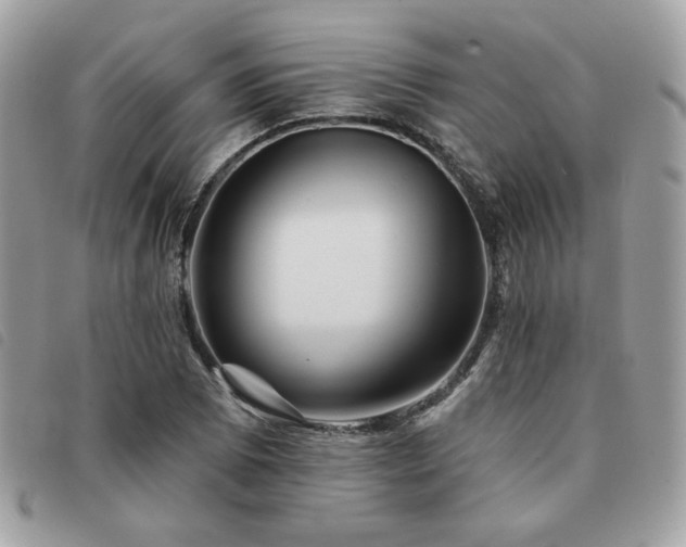 X0000091531073200708171215