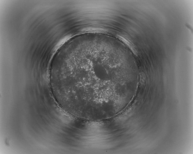 X0000091531074200708171215