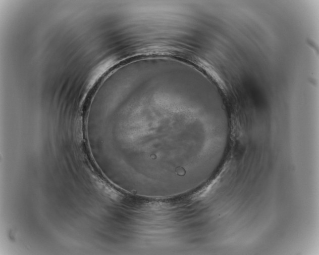 X0000091531075200708171215