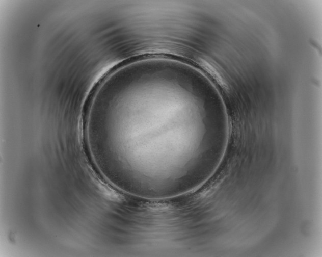 X0000091531076200708171215