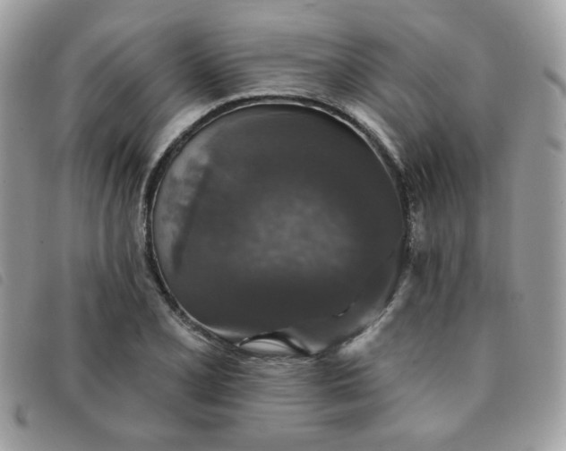 X0000091531077200708171215