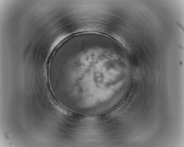 X0000091531078200708171215