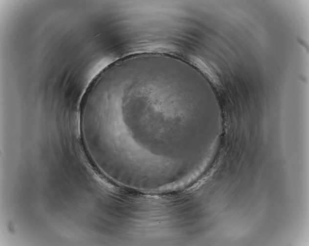 X0000091531079200708171215