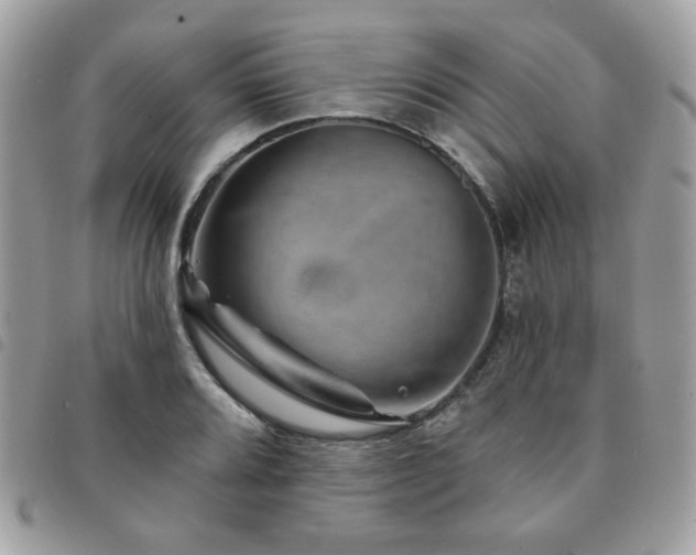 X0000091531080200708171215