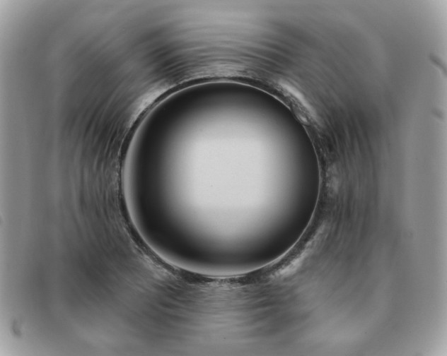 X0000091531081200708171215