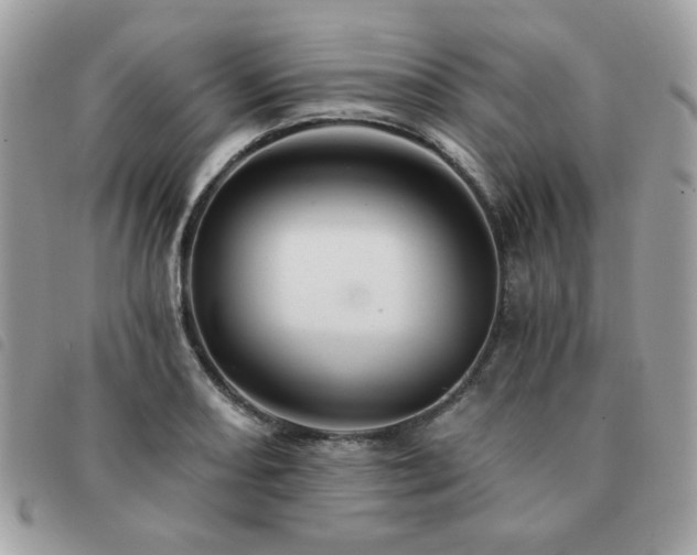 X0000091531082200708171215
