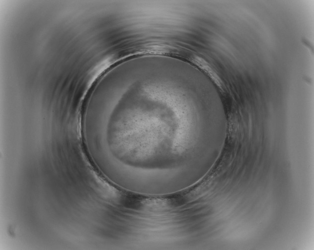 X0000091531083200708171215