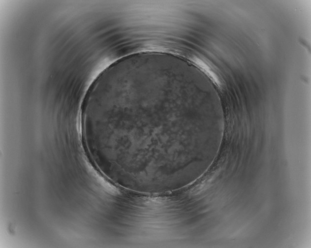 X0000091531084200708171215