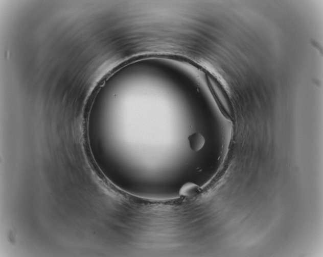 X0000091531085200708171215