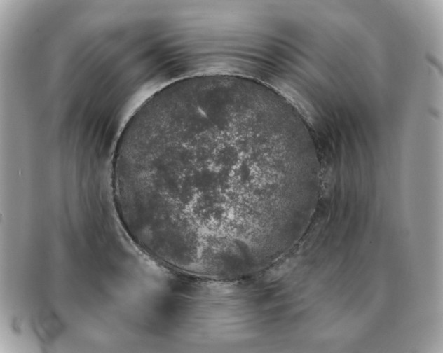 X0000091531086200708171215