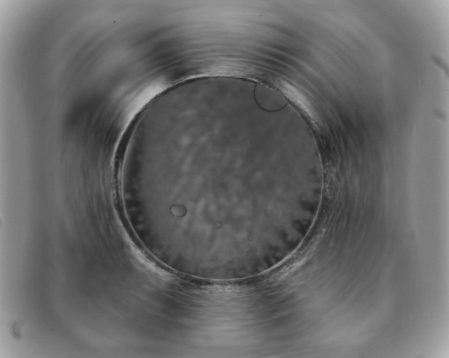 X0000091531087200708171215