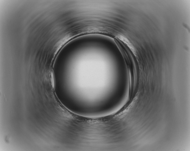 X0000091531089200708171215