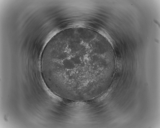 X0000091531090200708171215