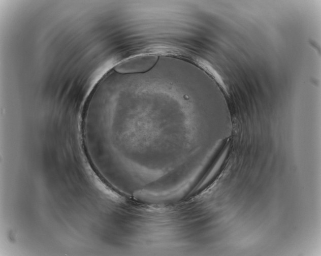 X0000091531091200708171215