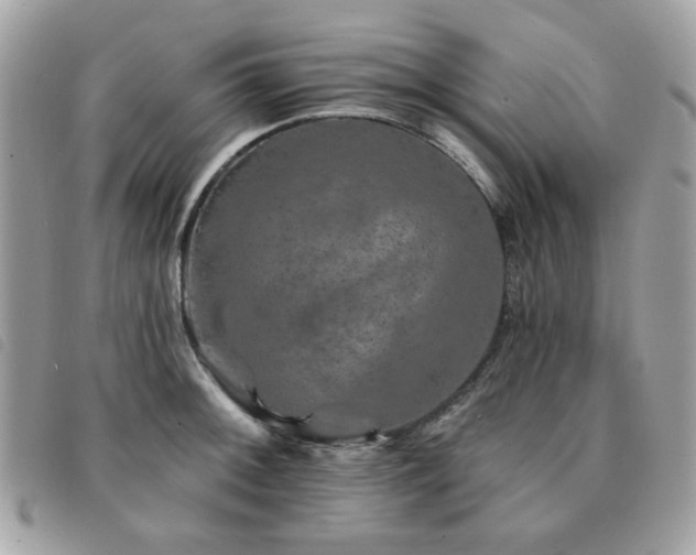 X0000091531092200708171215
