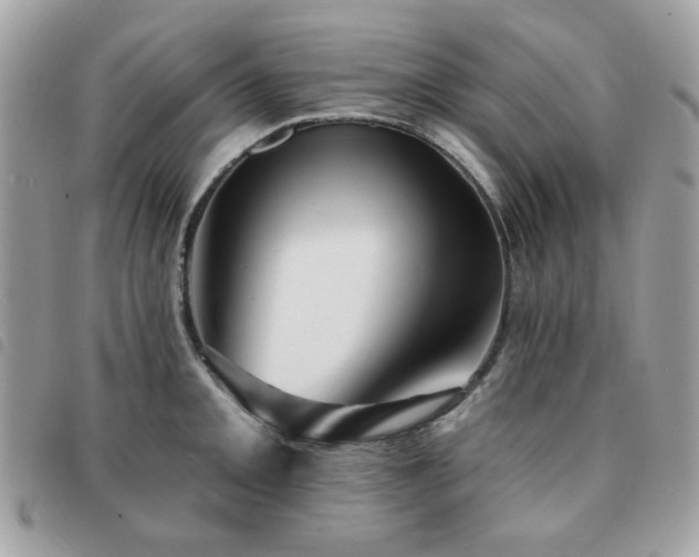 X0000091531093200708171215