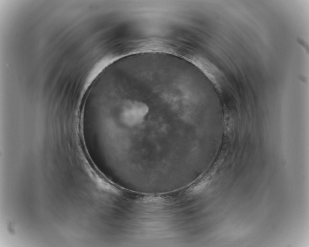 X0000091531094200708171215