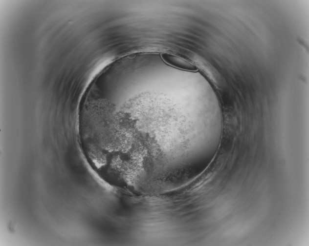 X0000091531095200708171215