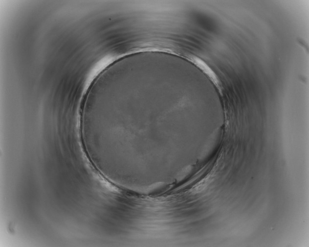 X0000091531096200708171215
