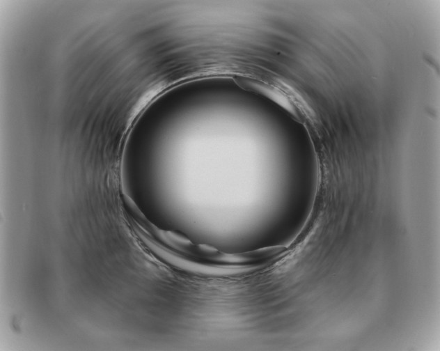X0000091531097200708171215