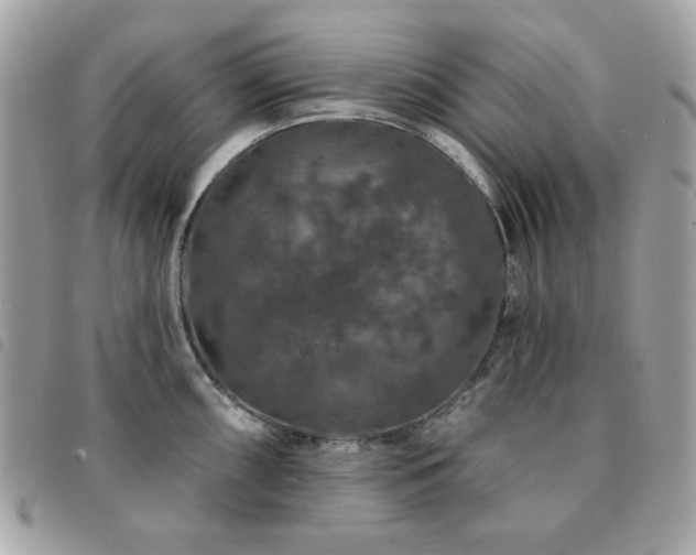X0000091531098200708171215