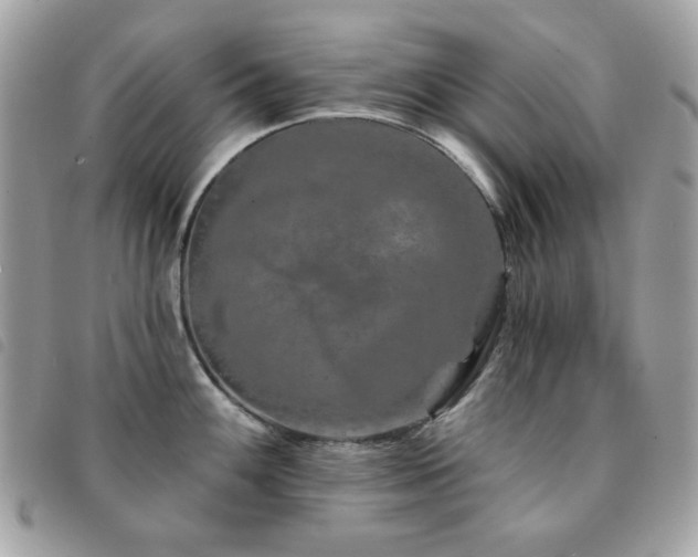 X0000091531100200708171215