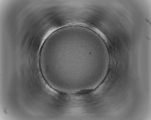 X0000091531102200708171215