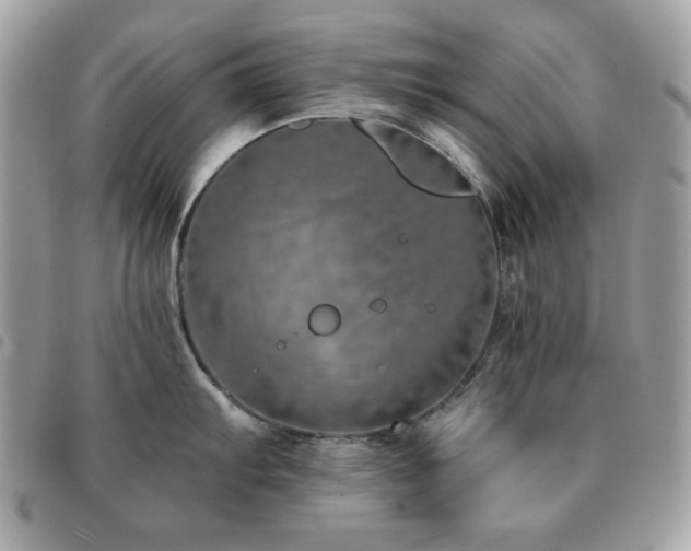 X0000091531103200708171215
