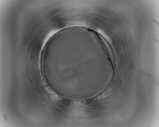 X0000091531104200708171215