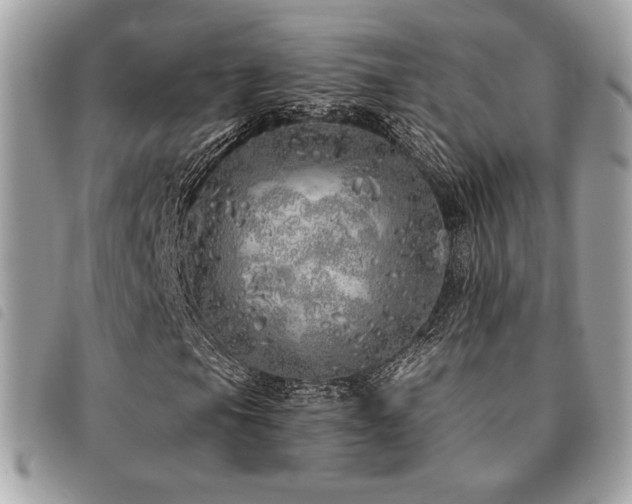 X0000091531105200708171214