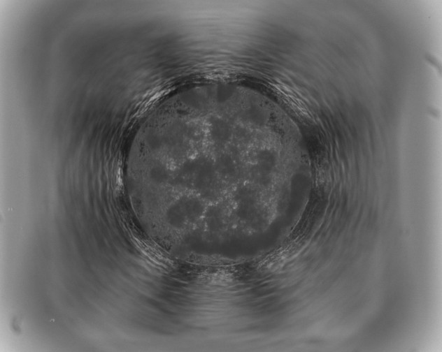 X0000091531106200708171214