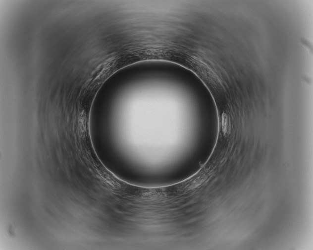 X0000091531107200708171214