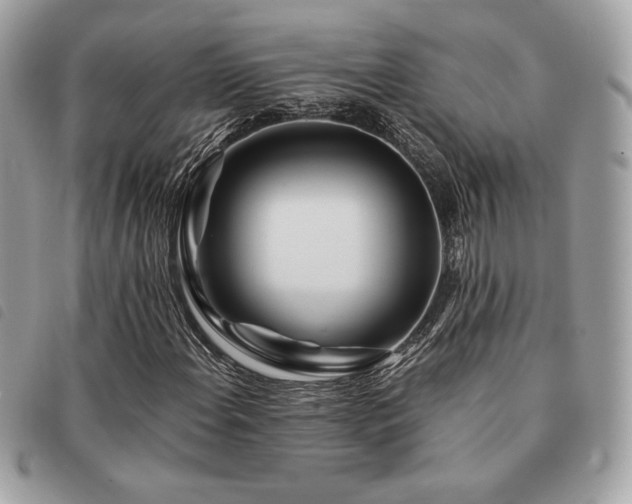 X0000091531108200708171214