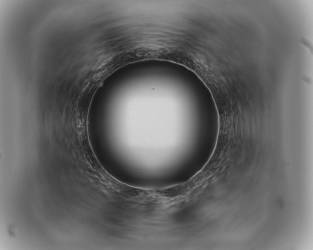 X0000091531109200708171214