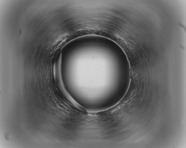X0000091531110200708171214