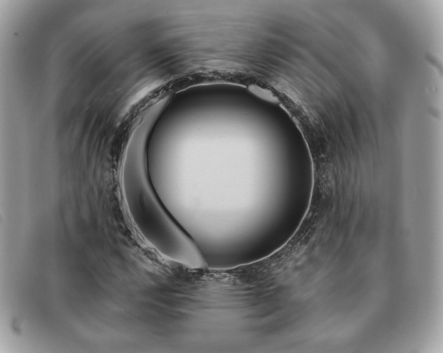 X0000091531112200708171214