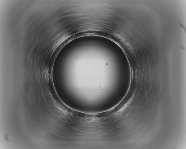 X0000091531113200708171214