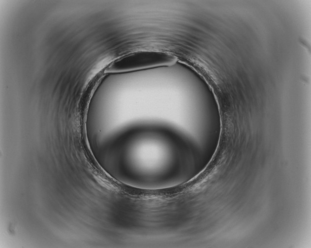 X0000091531114200708171214