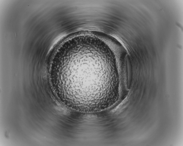 X0000091531115200708171214