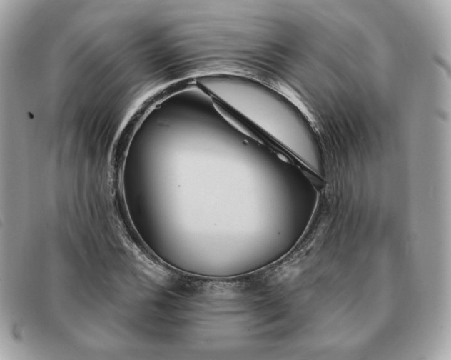 X0000091531116200708171214