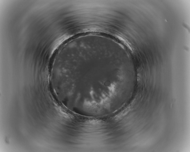 X0000091531117200708171214