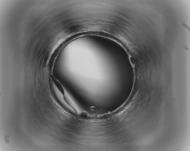X0000091531118200708171214
