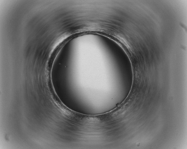 X0000091531119200708171214