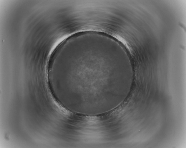 X0000091531120200708171214