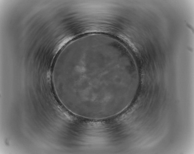 X0000091531121200708171214
